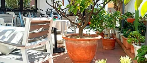Un área de estar al aire libre con mesas y sillas, rodeada de macetas con plantas y un gran árbol.