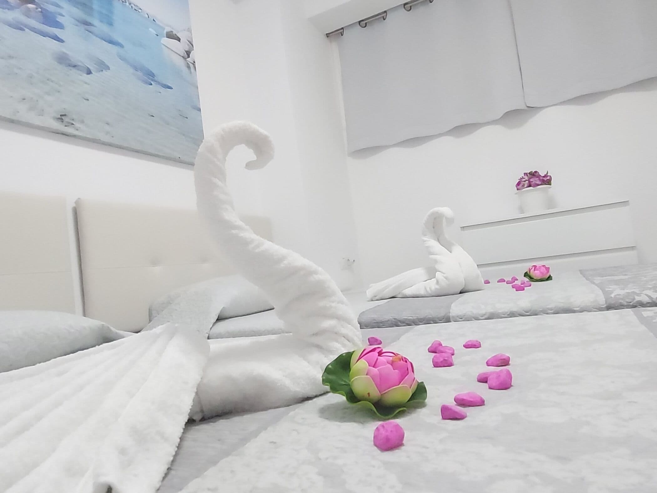 1 chambre, fer et planche à repasser, accès Internet, draps fournis