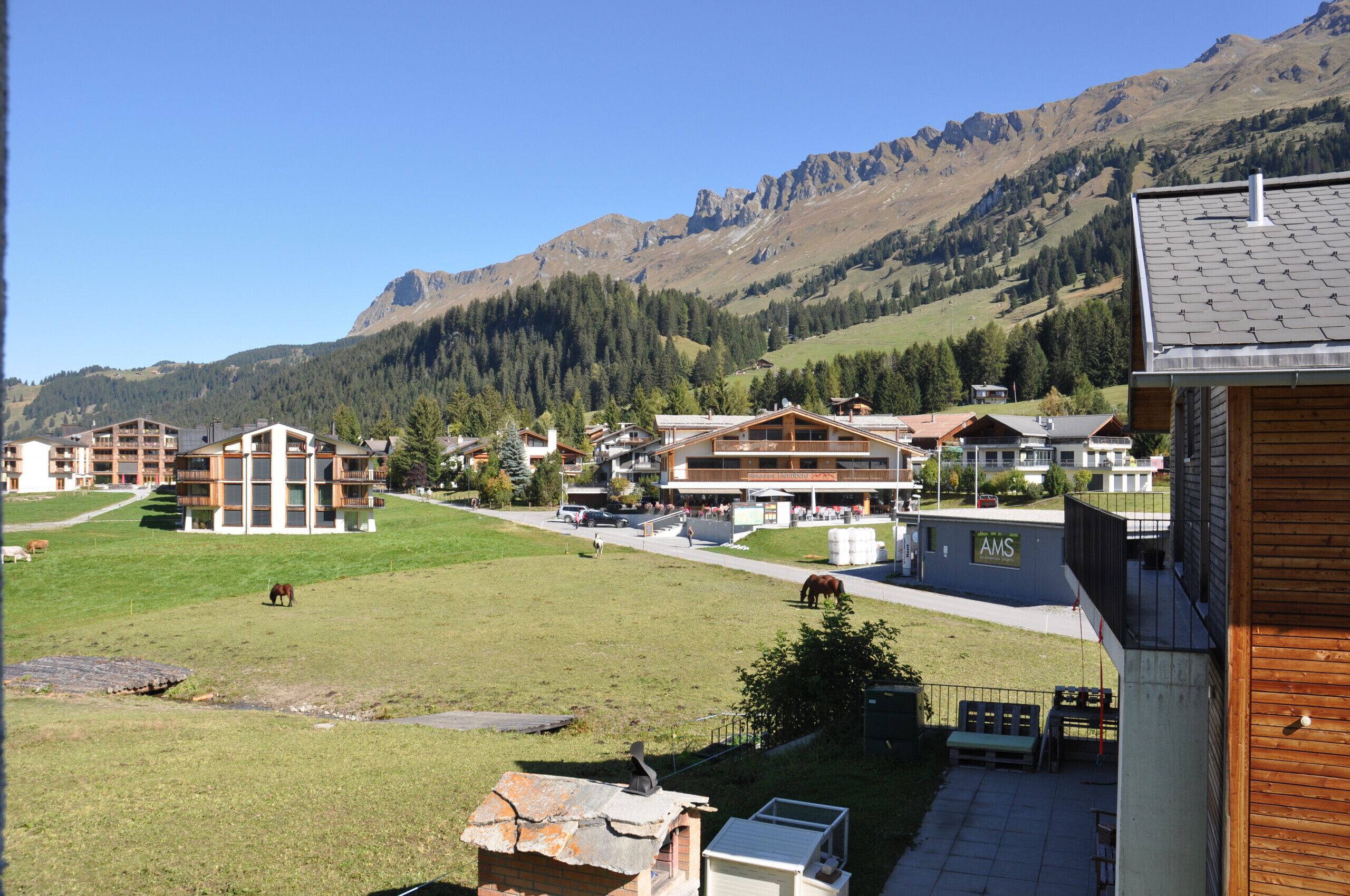 A residential area with houses, a grassy field, and mountains in the background.