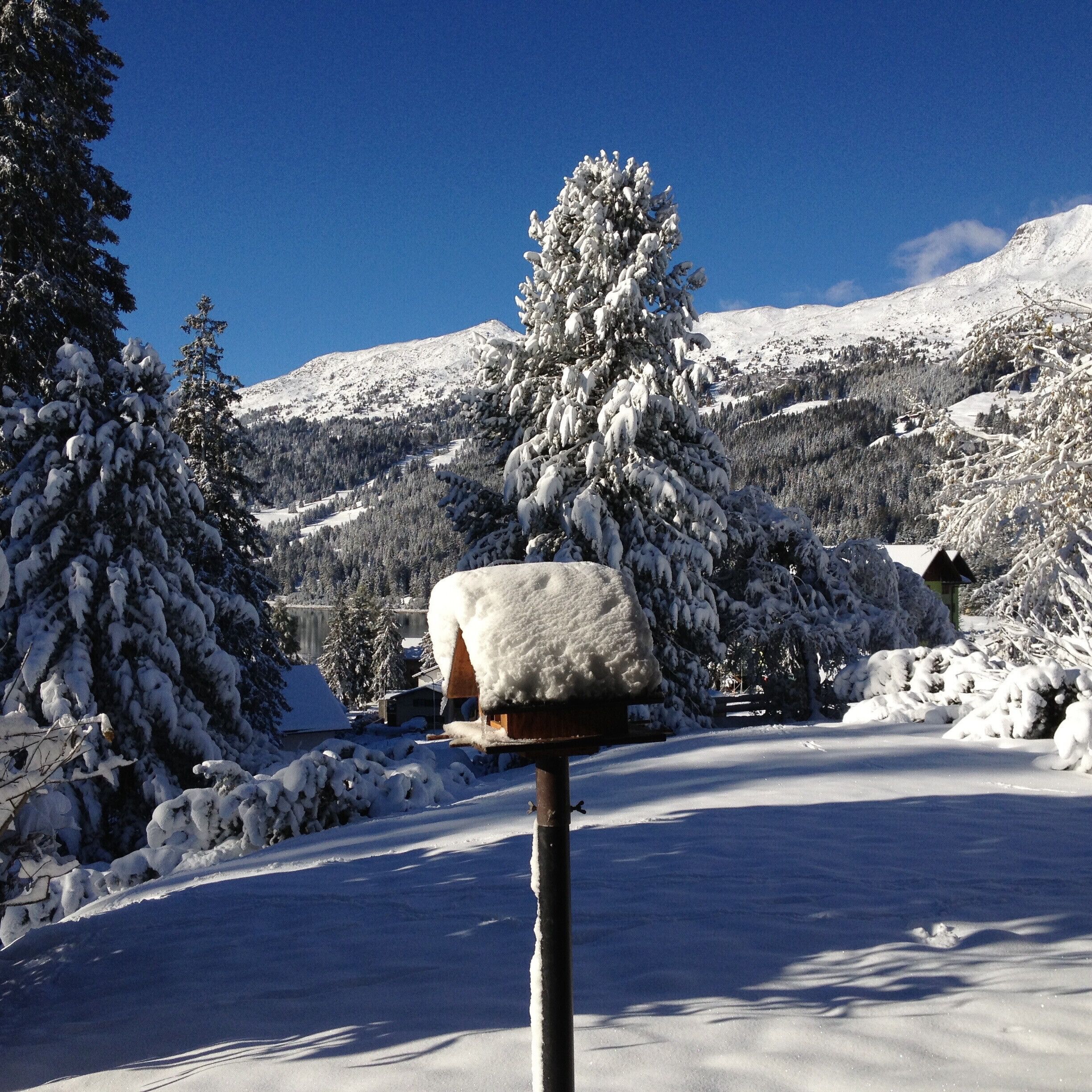 Paisagem coberta de neve com uma caixa de correio, árvores e uma montanha ao fundo.