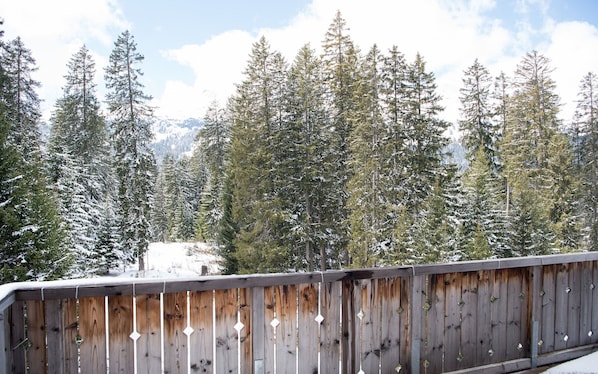 A wooden deck with a view of snow-covered trees and mountains in the background.