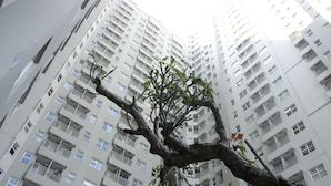 รูปภาพที่ไม่ได้จัดประเภท, 2 จาก 16, ปุ่ม