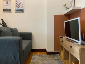 Televisión 