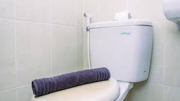 Shower, free toiletries, towels