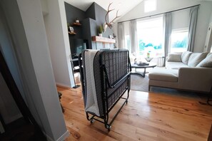 Smart-TV, Kamin