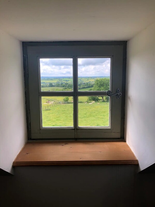 A window with a view of a green landscape.