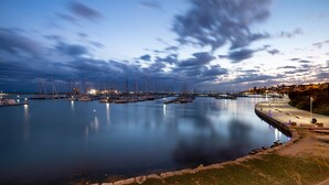 A marina with boats docked, calm water, and a distant shoreline with buildings.