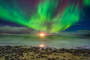 A beach with a rocky shoreline and a view of the northern lights.