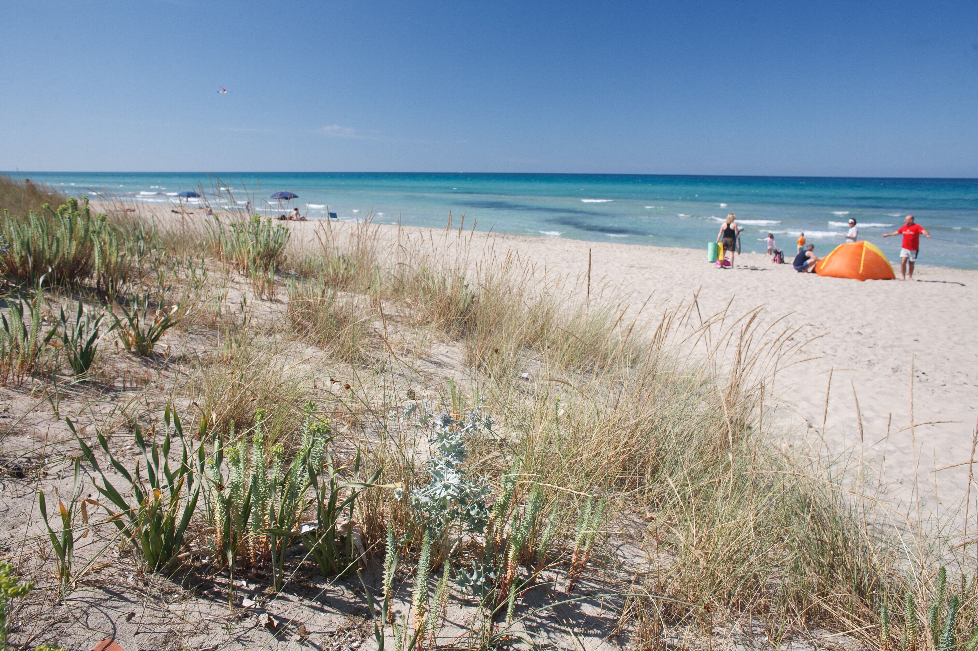A beach with tents and people, clear skies, and ocean.