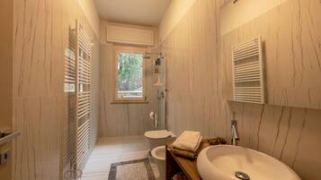 Shower, hair dryer, towels