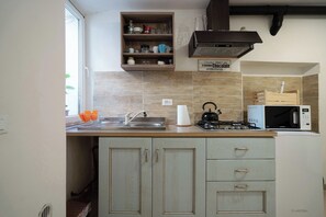 Kühlschrank, Mikrowelle, Herdplatte, Wasserkocher