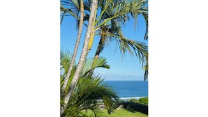 A coastal view with palm trees and a clear sky. - Bungalow for 2 - Ocean View (Saint Paul)