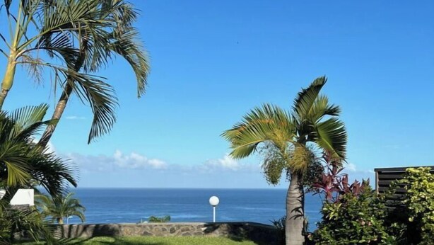 A swimming pool with clear blue water, surrounded by palm trees and a view of the ocean. - Bungalow for 2 - Ocean View (Saint Paul)