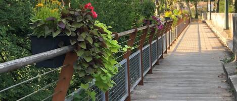 Enceinte de l’hébergement