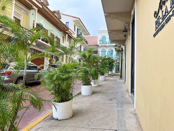 A narrow street lined with potted plants and parked cars, leading to a building with a sign reading "PH-LAM".