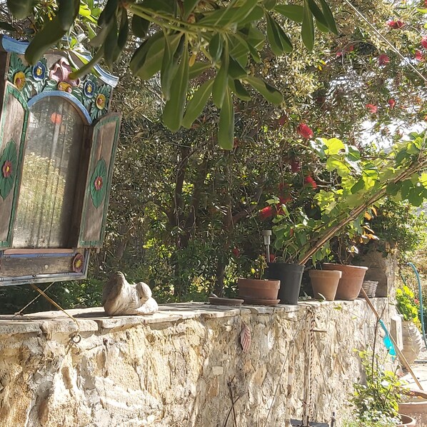 Exterior detail - Cosy studio,  few minutes away from Chora, airport, prokopis beach, Laguna surf, (Naxos)