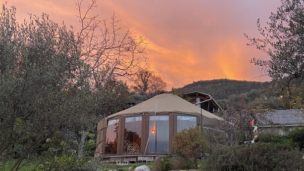 Una cabaña de madera circular y acogedora, con ventanas amplias, rodeada de abundante follaje y un muro de piedra.