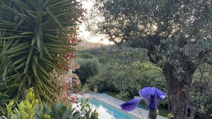 Una piscina rodeada de exuberante vegetación y un árbol con un hueco en el tronco.