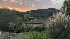 Un jardín con diversas plantas, una escultura de roca y una vista distante de una casa en una colina.