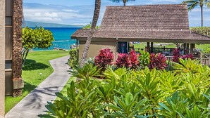 A resort with a covered seating area, a pathway leading to the beach, and lush tropical plants. - OCEAN and POOL View, remodeled 2 bdrm condo with A/C - PAPAKEA K406 (Lahaina)