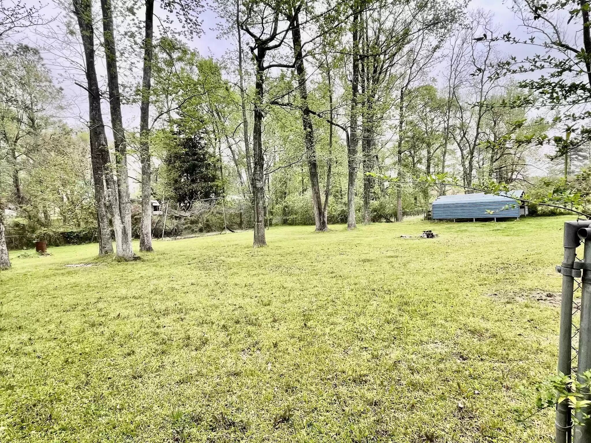 Large, kid and pet friendly home near schools