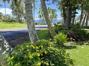 A tropical landscape with palm trees, a road, and a grassy area with yellow flowers. - Moana Imaku - Ocean View Home w/ ADA Features (Pahoa)