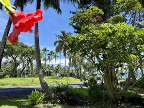 المنطقة المحيطة بالمنشأة