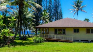 A house with a porch, surrounded by lush greenery and palm trees. - Moana Imaku - Ocean View Home w/ ADA Features (Pahoa)