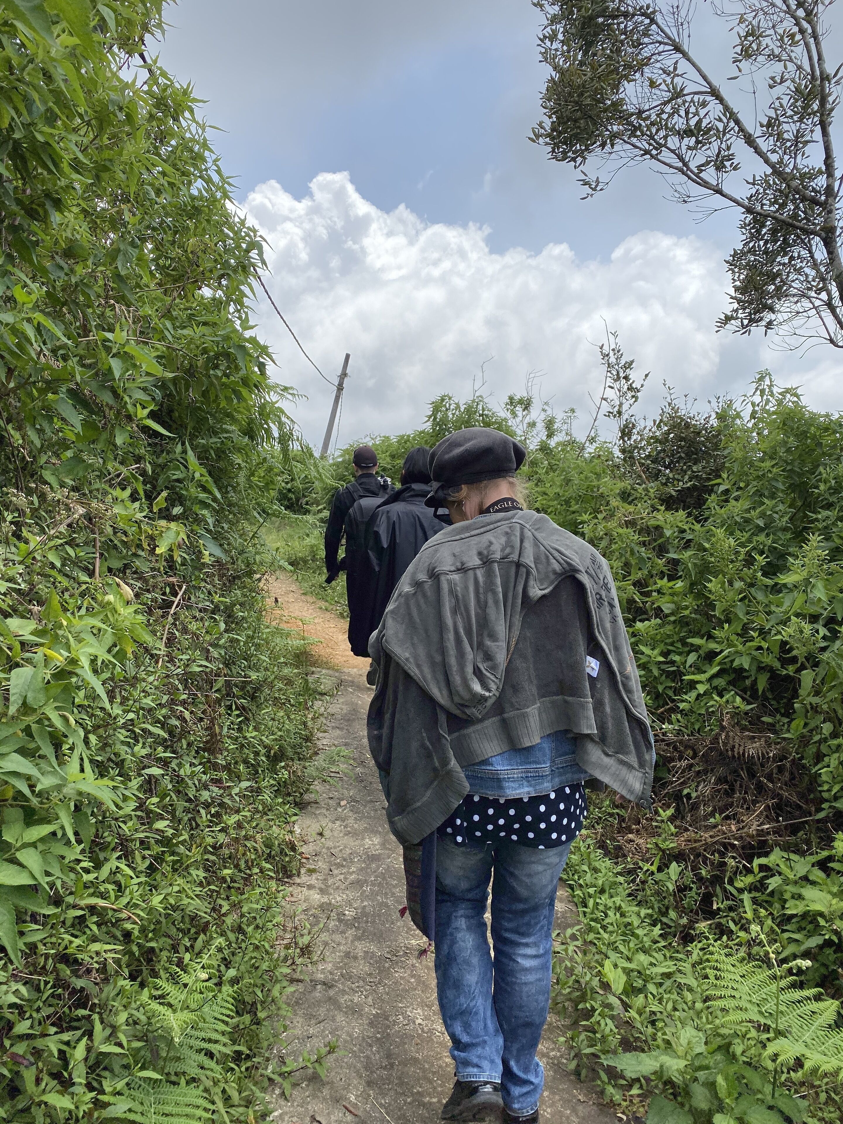 A narrow path surrounded by dense greenery, leading to a distant figure.