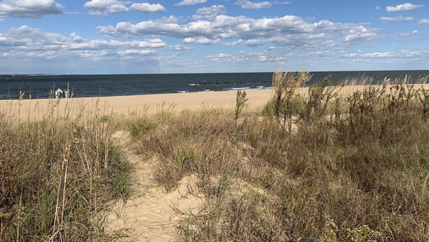 A beach with a clear sky, sandy shore, and sparse vegetation. - Captains Quarters By The Bay 3 Bedroom Cottage by RedAwning (Norfolk)