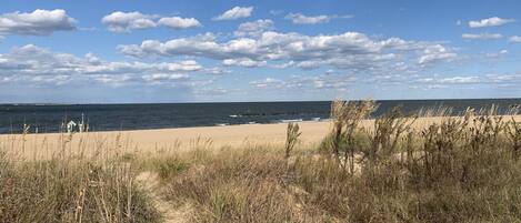 Une plage avec un ciel dégagé, un rivage sablonneux et une végétation clairsemée.