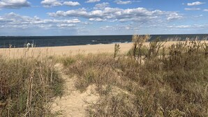 Ein Strand mit blauem Himmel, sandigem Ufer und spärlicher Vegetation.