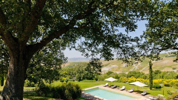 A pool area with lounge chairs and umbrellas, surrounded by lush greenery and a large tree. - Cozy retreat for 2 with pool & A/C in Val d'Orcia | Moraiolo  (Monticchiello)