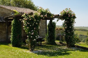 Property grounds - Cozy retreat for 2 with pool & A/C in Val d'Orcia | Moraiolo  (Monticchiello)
