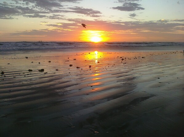 Platja a a prop