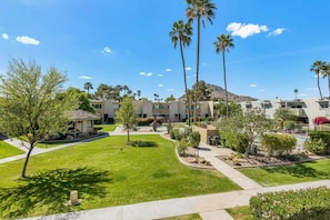 A hotel courtyard with palm trees, a gazebo, and a mountain in the background.