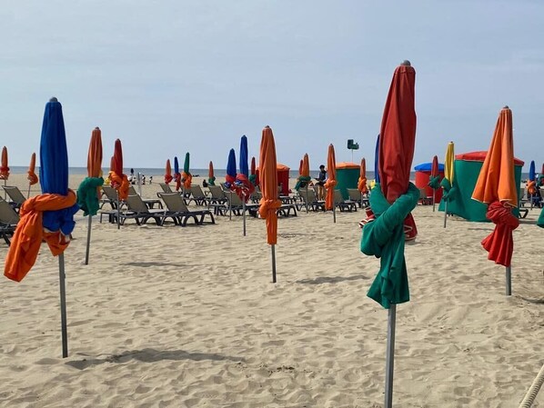 A beach with rows of sun loungers and umbrellas.