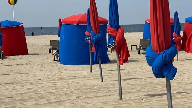 Beach umbrellas and lounge chairs arranged on a sandy beach with a clear view of the ocean.