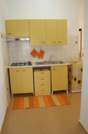 A compact kitchen with wooden cabinets, a gas stove, a sink, and orange kitchen towels.