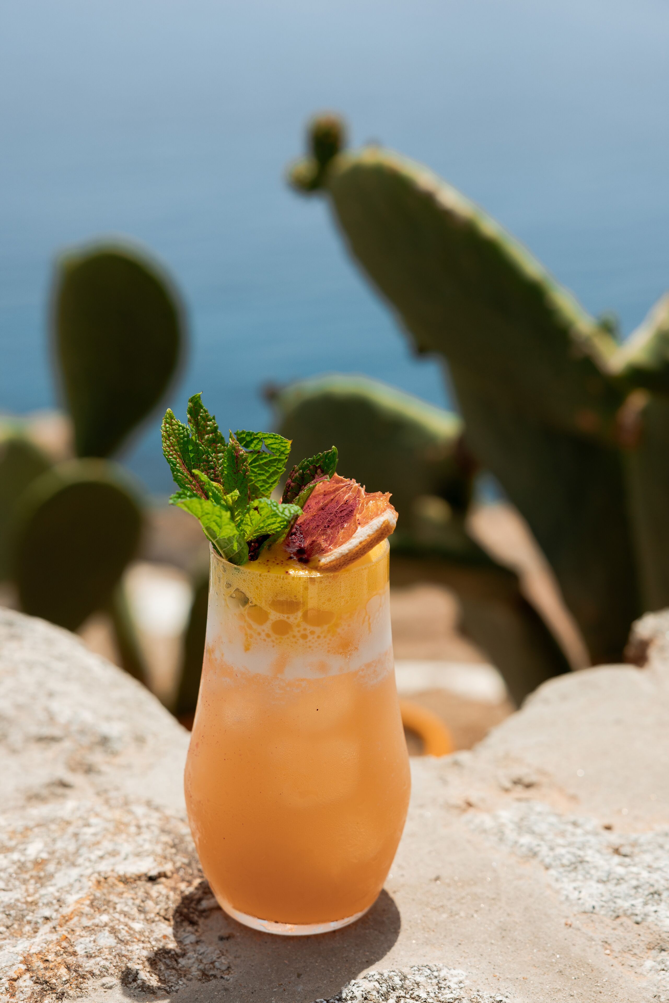 A cocktail in a glass with a mint garnish, placed on a rock with a cactus and ocean view in the background.