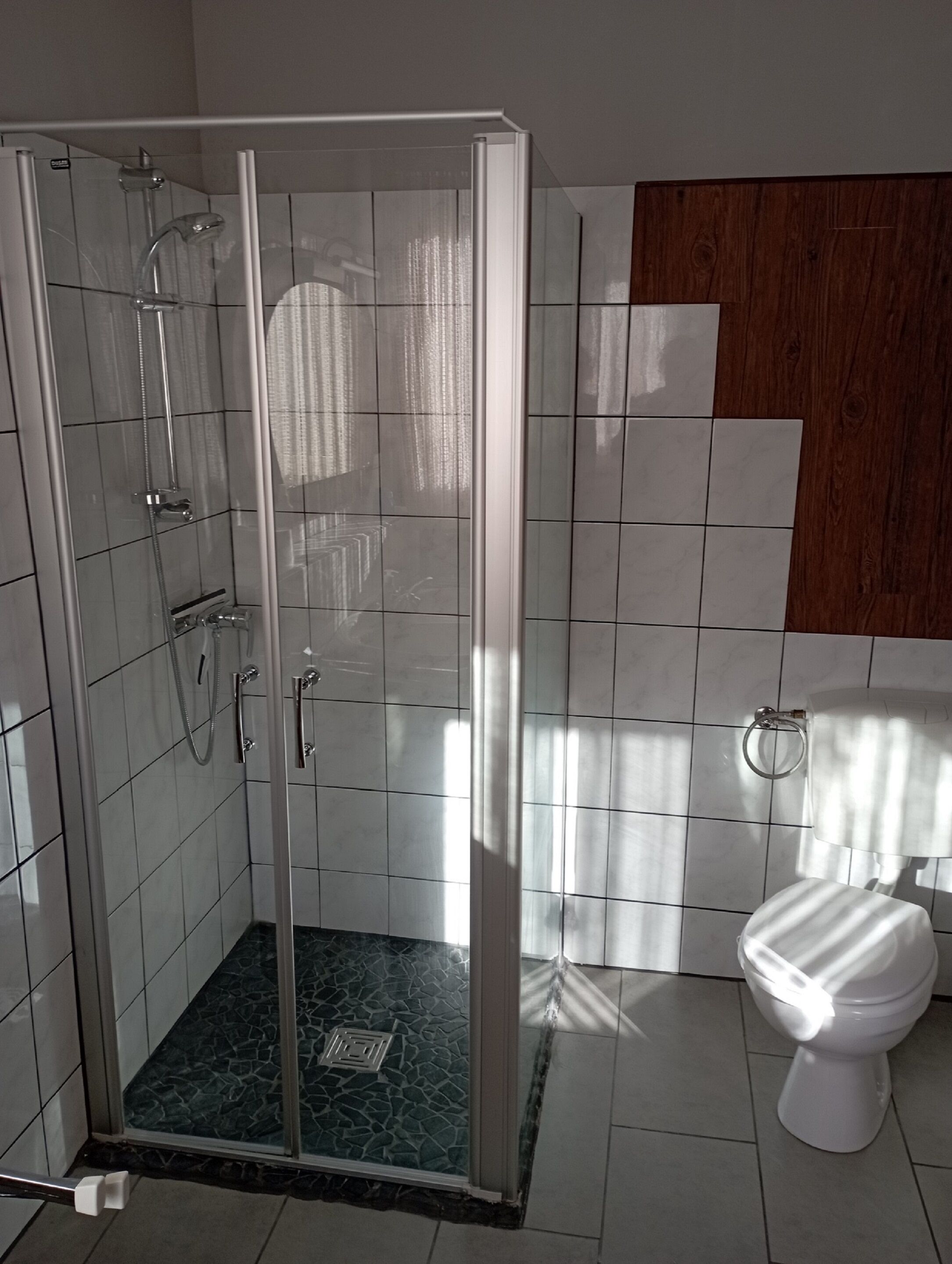 A modern bathroom with a glass-enclosed shower, a toilet, and a wooden panel wall.