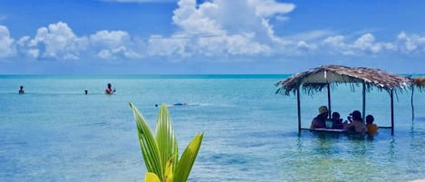 Plage à proximité, serviettes de plage