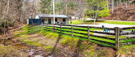 Una cabaña rústica con terraza de madera, rodeada de un bosque y un pequeño arroyo.