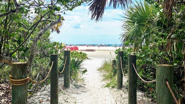 A sandy pathway leading to a beach with palm trees and wooden posts. - Condo#203 Updated beautiful  condo on Siesta Key with an upscale comfortable coastal look and feel. (Sarasota)