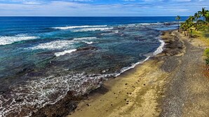 A beach with clear waters, pebbly shore, and palm trees. - Keauhou Kona Surf & Racquet Club #8-101 (Kailua-Kona)