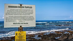Un panneau d’information sur les tortues vertes hawaïennes et les phoques moines, avec un avertissement demandant de ne pas s’en approcher.