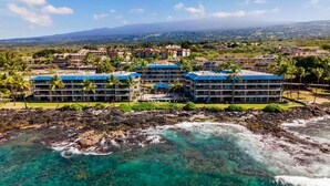 Unclassified image, 5 of 60, button - Kona Reef#d26 (Kailua-Kona)