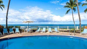 Unclassified image, 4 of 60, button - Kona Reef#d26 (Kailua-Kona)