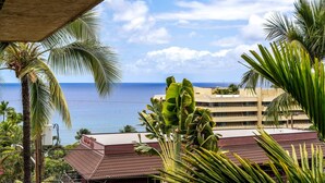 Property grounds - Kona Mansions#302 (Kailua-Kona)