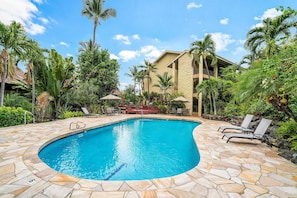 Condo, 1 Queen Bed with Sofa bed (Kalani Kai#104) | Pool - Kalani Kai#104 (Kailua-Kona)